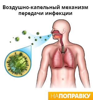 Как можно заразиться туберкулезом